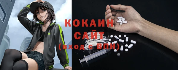 дмт Абаза