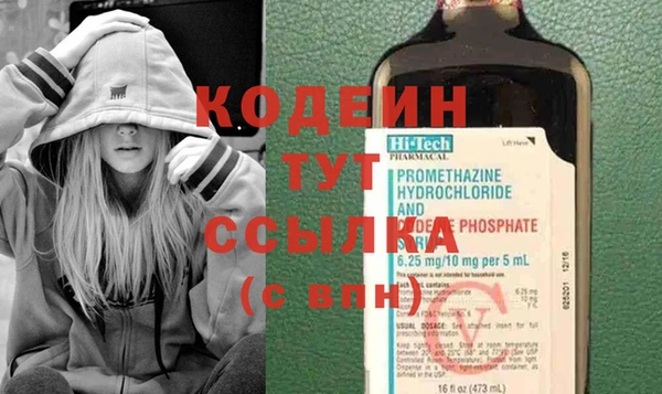 дмт Абаза