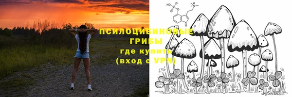 хмурый Абинск