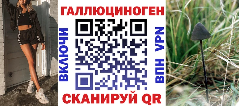 Псилоцибиновые грибы Psilocybe  Беломорск 